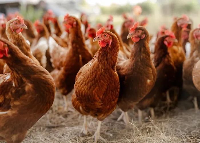 Reethaus 2a Staberdorf