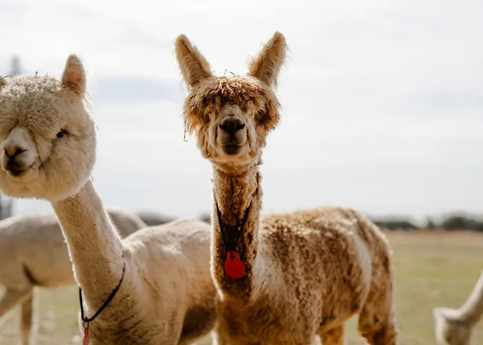 Reethaus 2a Casa de Férias