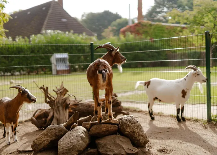 Casa de Férias Reethaus 2a