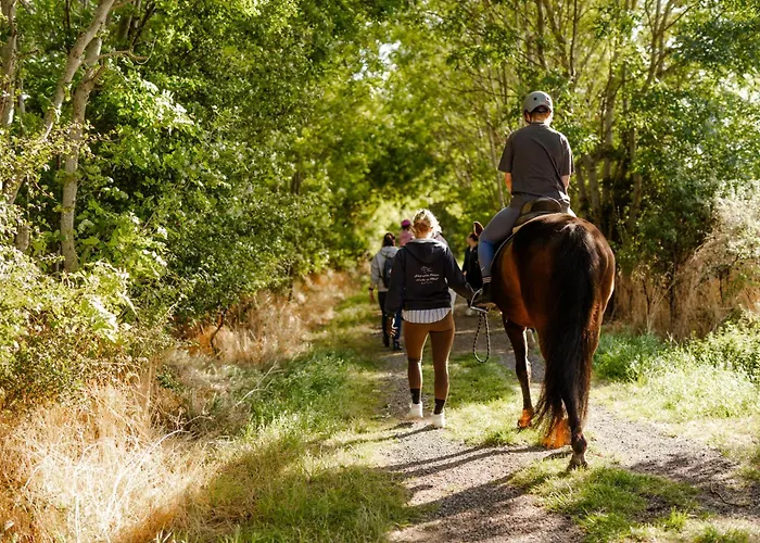 Casa de Férias Reethaus 2a Staberdorf