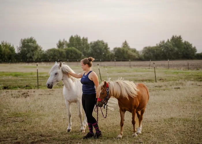 Casa de Férias Reethaus 2a