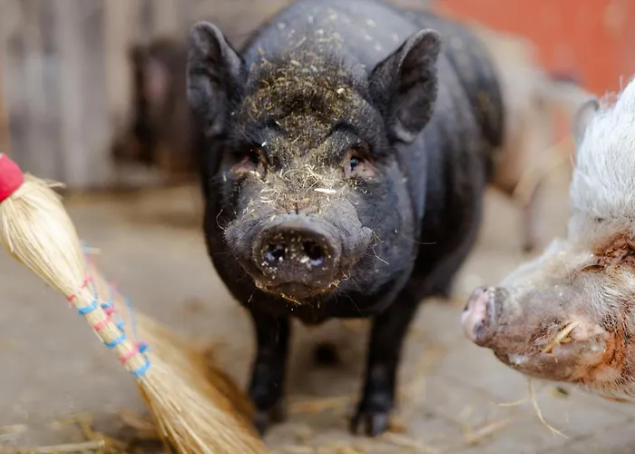 Reethaus 2a * Staberdorf