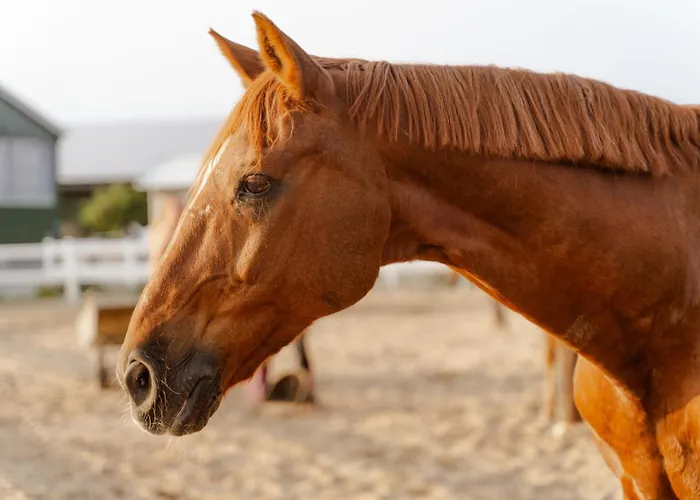 Casa de Férias Reethaus 2a